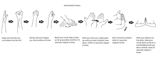 An example of stretches from Dr. McGee’s website